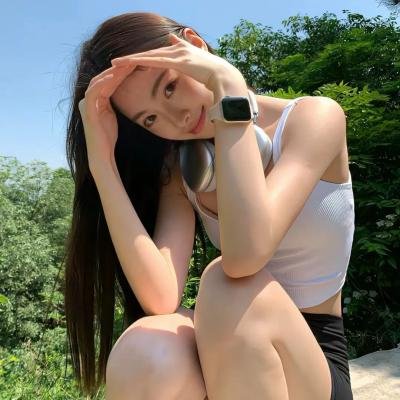 完美伴侣2025
